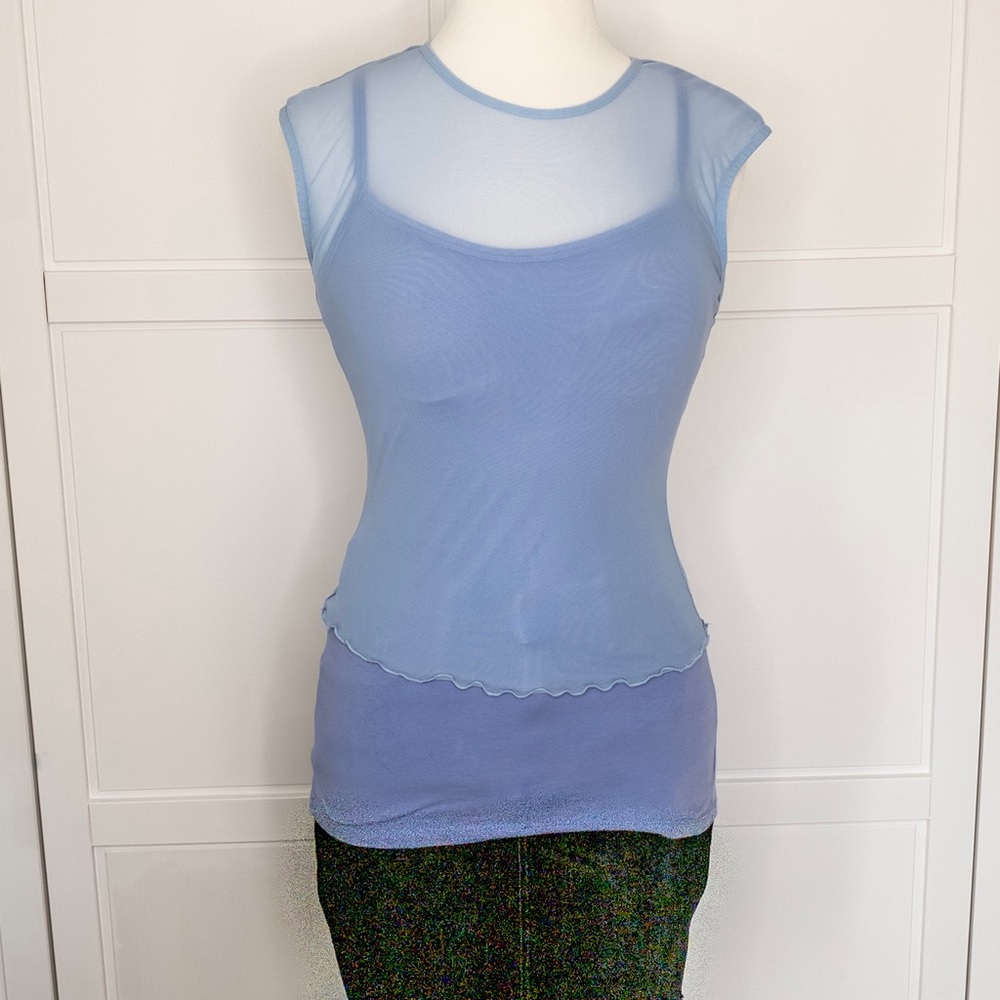 Light Blue Sheer Top